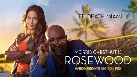 See morris chestnut full list of movies and tv shows from their career. Villa and Rosie (Rosewood) | Rosewood tv show, Morris ...