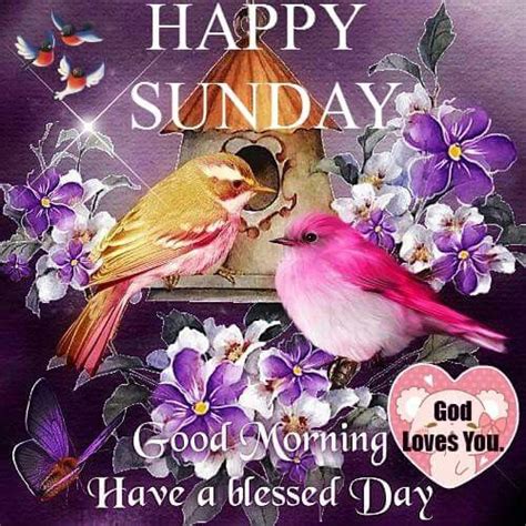 Happy Sunday Good Morning Have A Blessed Day Pictures Photos And