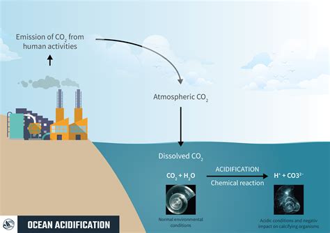 Ocean Acidification 1 Iodysseus