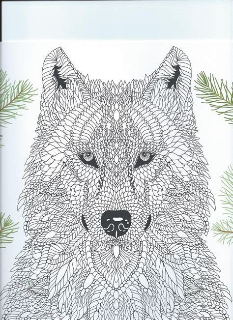 Download From the coloring book "The Menagerie" animal portraits to ...