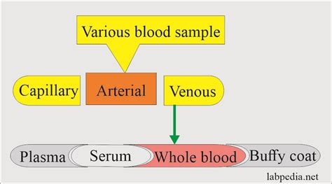 Blood Sample Part 3 Types Of Blood Samples Criteria For Rejection