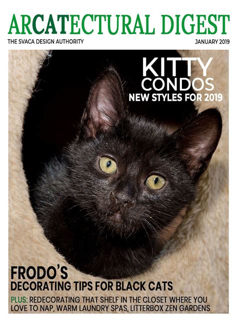 Since there are many more black cats up for adoption, it only makes sense that not all of them will be adopted, and more will be left over, making it look. I Created Faux Magazine Covers To Boost Black Cat Adoption ...
