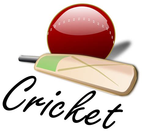 Cricket Match Clipart 20 Free Cliparts Download Images On Clipground 2022
