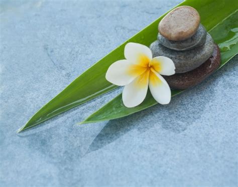 Premium Photo Tropical White Flower And Stones On Two Leaves For Massage Treatment On Blue