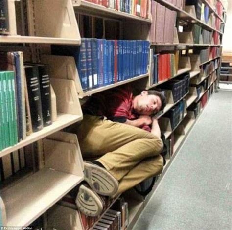 17 People Who Found Ways To Nap It Up In The Most Bizarre Situations