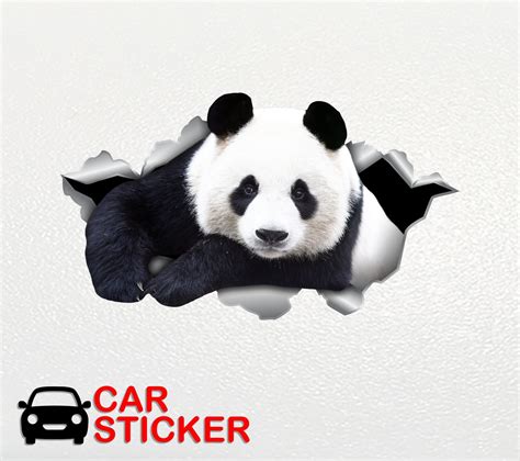 Panda Sticker Panda Decal Panda Bumper Sticker Cute Panda Etsy