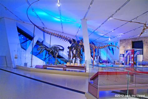 Royal Ontario Museum Dinosaurs Jack The Lizard Wonder World