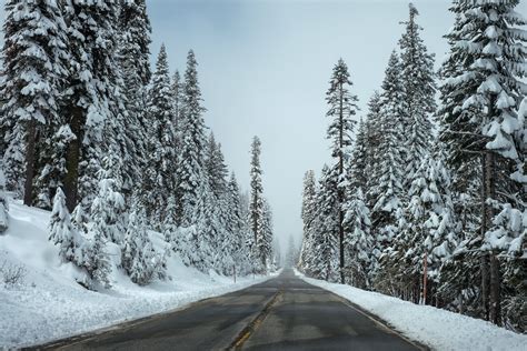 1920x1200 Wallpaper Grey Concrete Road Between Pine Trees With Snow