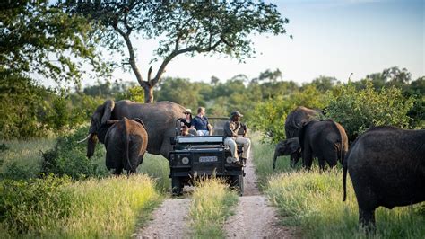 Is A Kruger National Park Safari Enough Discover Africa