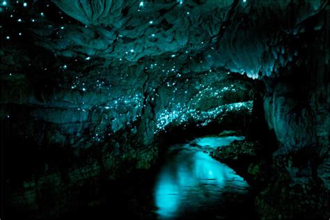 Glowworm Cave Waitomo New Zealand Print By Matteo Colombo Posterlounge