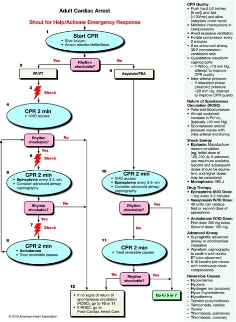 Adult Cardiac Arrest Algorithm First10em