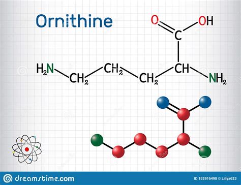 Maybe you would like to learn more about one of these? Ornithine Non-proteinogenic Amino Acid Molecule, Is Used ...