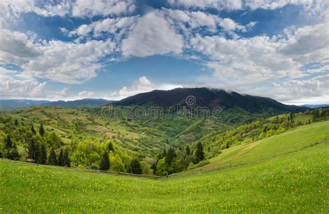 Mountain Landscape With Green Meadow And Pine Forest Away Stock Photo