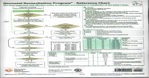 Neonatal Resuscitation Program Reference Chart The Most Important