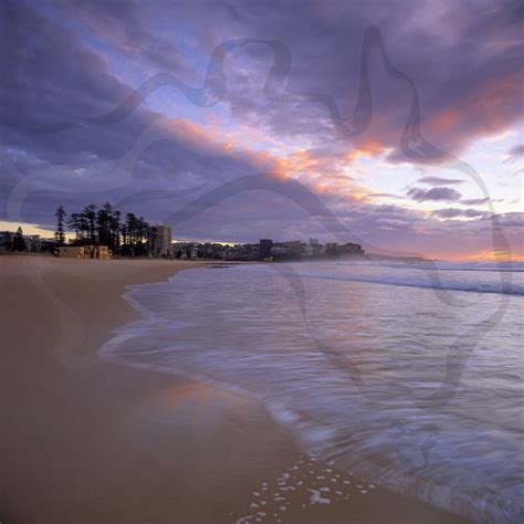 Manly Beach Sunrise Stock Photos Northern Beaches Sydney Images