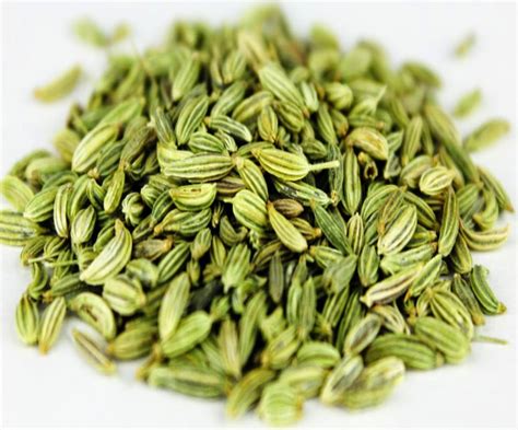 Today fennel and fennel seeds are popular in northern and southern european cuisines as well as in chinese and indian cooking, where they are often the whole seeds will keep for longer and you can easily grind them yourself at home with a pestle and mortar or a spice mill. Amazing Benefits of Fennel seeds |HerbHealtH