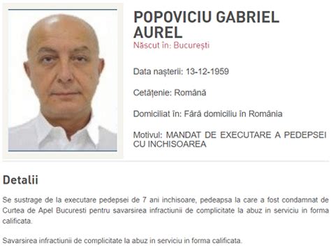 Avem 31 stiri despre puiu popoviciu. Puiu Popoviciu, condamnat definitiv, a fost dat în ...
