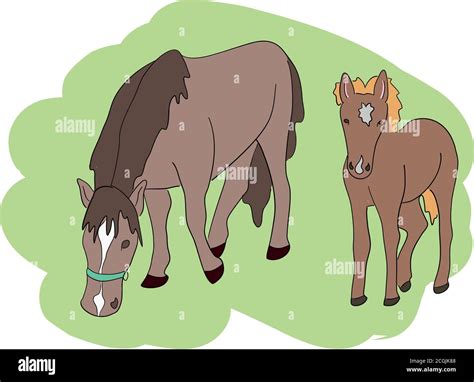 Arabian Horse Quarter Horse Stock Vector Images Alamy