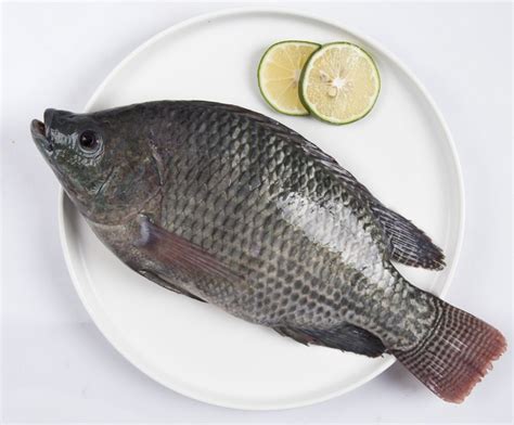 Desi Tilapia Black Tilapia 500g Chef And Butcher Kadugodi Outlet