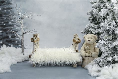 Winter Bear Friends Newborn Up To Toddler Commission Sunnyvale