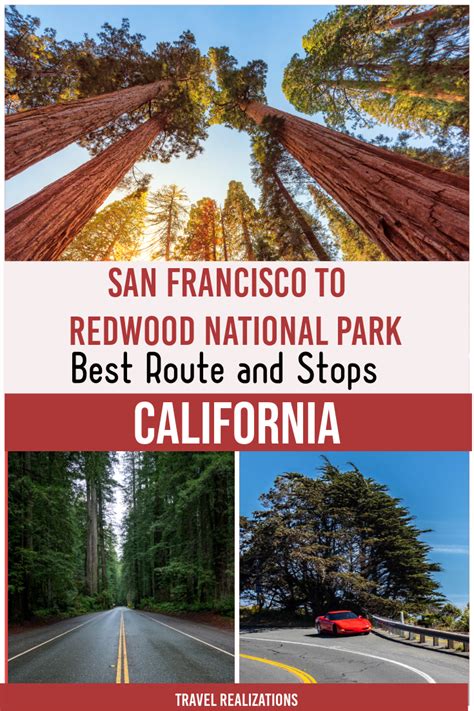 San Francisco To Redwood National Park Road Trip Best Route Stops