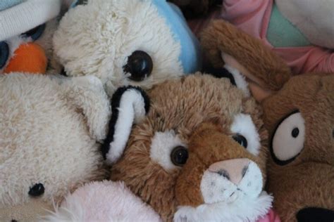 What To Do With Old Stuffed Animals Animalxc