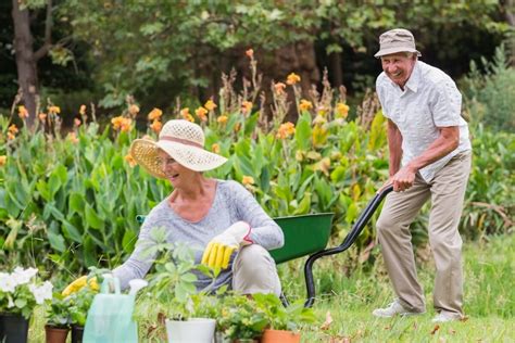 Garden Care Tips For Seniors And Elderly Crewcut Lawn And Garden