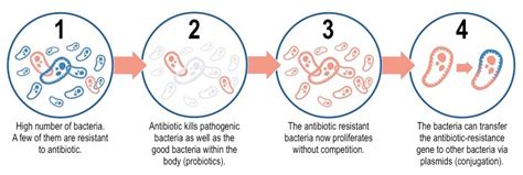 Antibiotic Resistance Bioninja