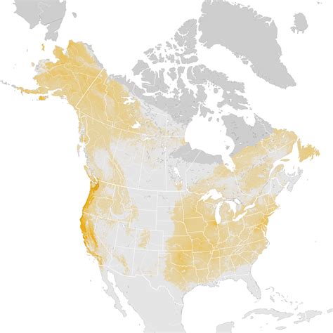 Fox Sparrow Abundance Map Post Breeding Migration Ebird Status And