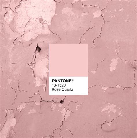 Pantone Color Of 2016 Rose Quartz Couleur Rose Quartz Pantone Rose