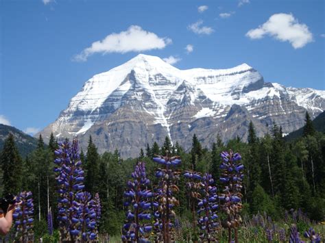 Mount Robson Canada Favorite Places Canadian Rockies Natural Landmarks