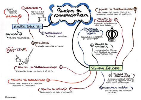 Mapa Mental De Reportagem