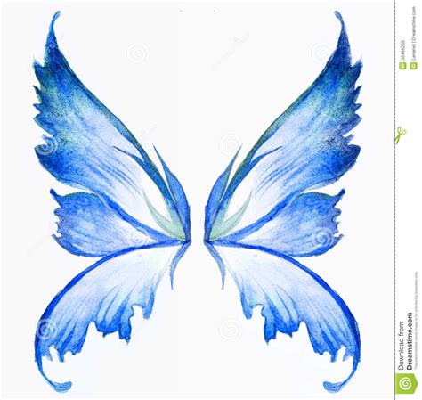 Periwinkle Fairy Tatoo Blue Fairy Wings Drawing Fairy Wings Drawing
