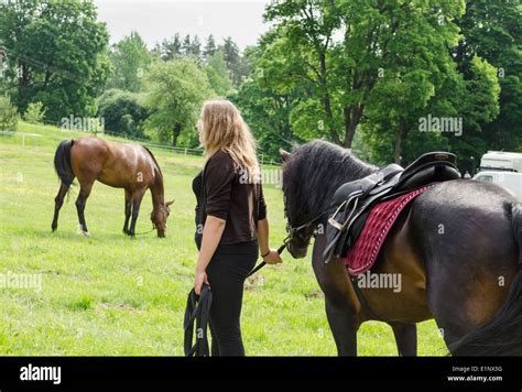 Mounted Woman Horse Hi Res Stock Photography And Images Alamy