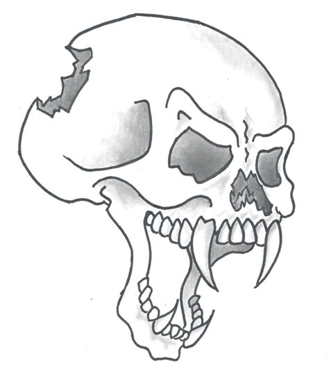 Skull Line Drawing At Explore Collection Of Skull