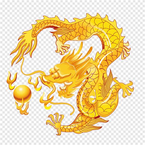 Chinese Dragon Illustration Chinese Dragon Chinese Zodiac Fenghuang