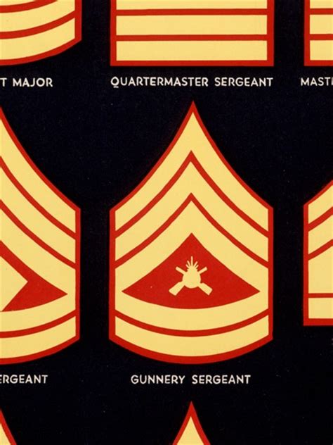 1940s Insignia Of Enlisted Ranks Wwii Marine Corps War Poster 20x28