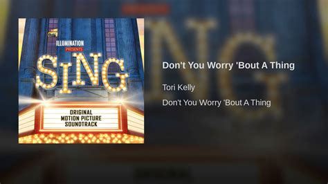 Don T You Worry Bout A Thing Stevie Wonder Sing Soundtrack Cover