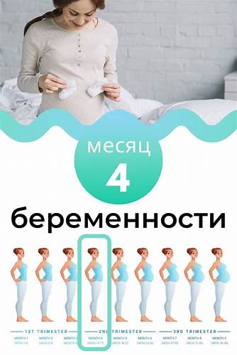 25 неделя беременности диета Пин на доске советы мамам Пин на доске советы мамам 25 неделя беременности диета