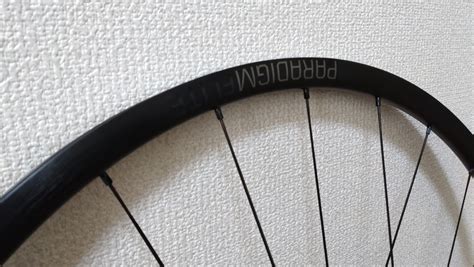 Bontrager Paradigm Elite Disc Tlr