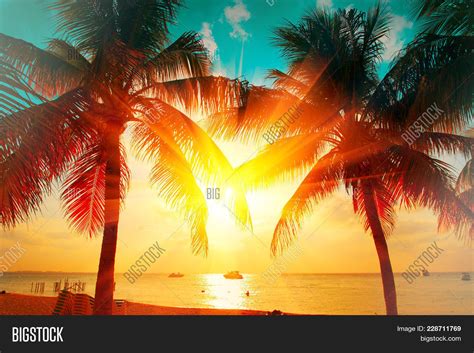 Sunset Beach Palm Image And Photo Free Trial Bigstock