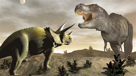 Dinosaur Extinction Caused By Asteroid Not Volcanoes Study Finds