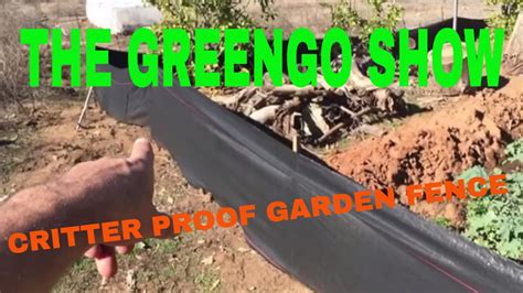 Attach fencing wrap the fencing outside each post and attach it with cable ties. 1 year squirrel/rabbit proof garden fence - YouTube