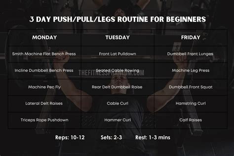 Push Pull Legs 3 Day Split Routine With Free PDF