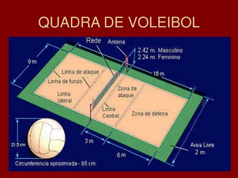 Quais São As Linhas De Uma Quadra De Voleibol