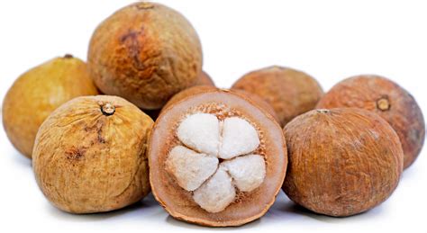 Santol Fruit Information Recipes And Facts