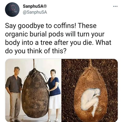 “say Goodbye To Coffins” These Organic Burial Pods Will Turn Your Body Into A Tree After You Die