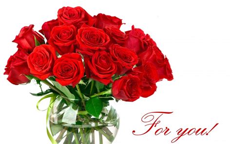 Red Roses Bunch Wallpaper 1920x1200 31605