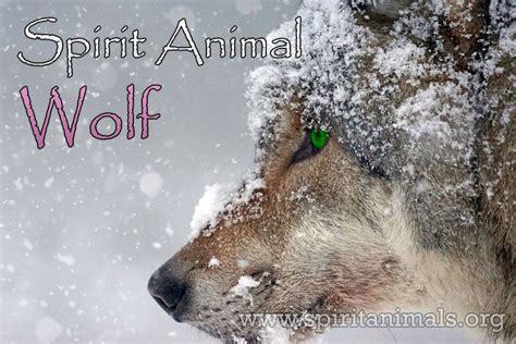 Top 150 Wolf Spirit Animal Symbolism