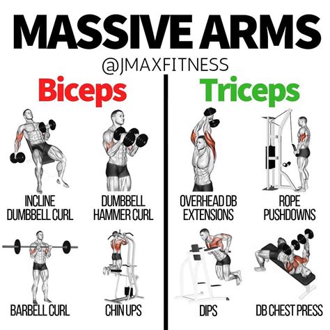 Biceps And Triceps Superset Workout For Mass ~ Workout Printable Planner